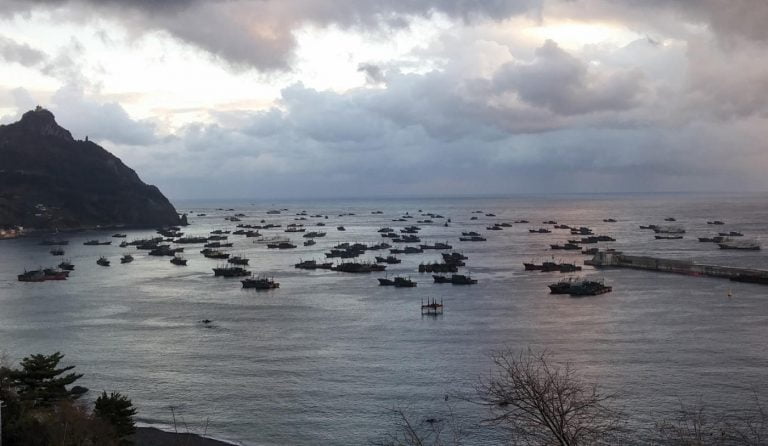 Chinese pair trawlers and lighting boats anchored in a harbour at Ulleung Island